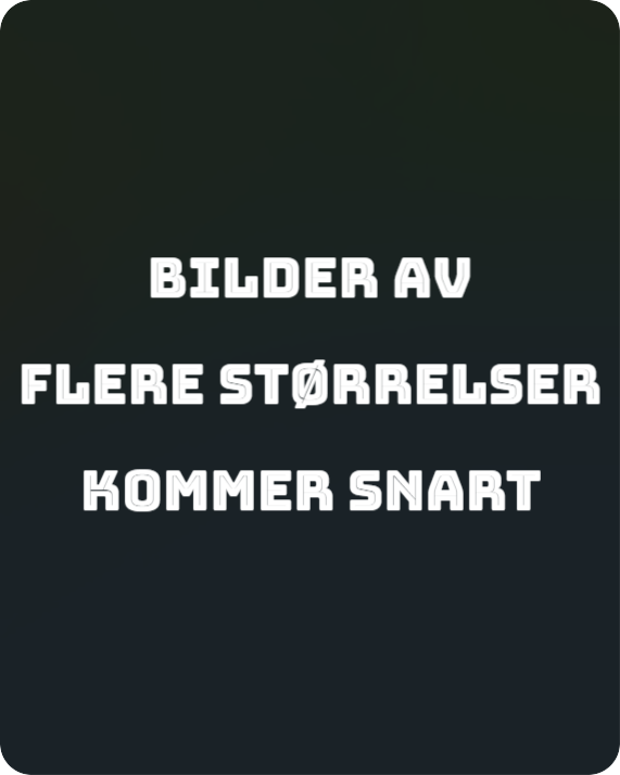 Tropisk Strand